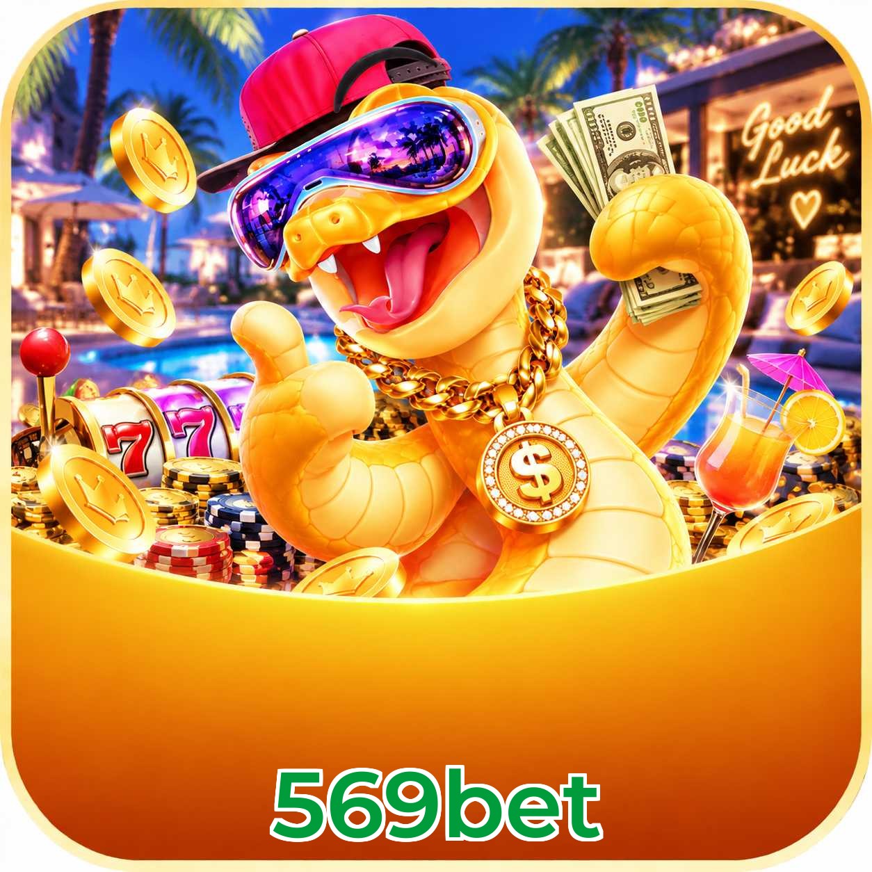 569bet em números - plataforma líder no Brasil desde 2020